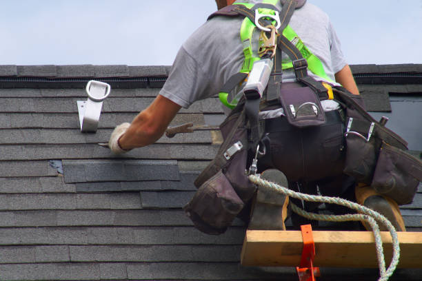 Affordable Siding Repair and Maintenance Services in Grand Mound, WA