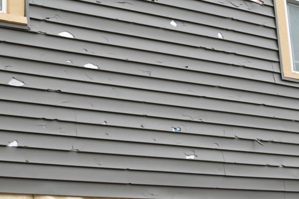 Best Siding Painting and Refinishing  in Grand Mound, WA